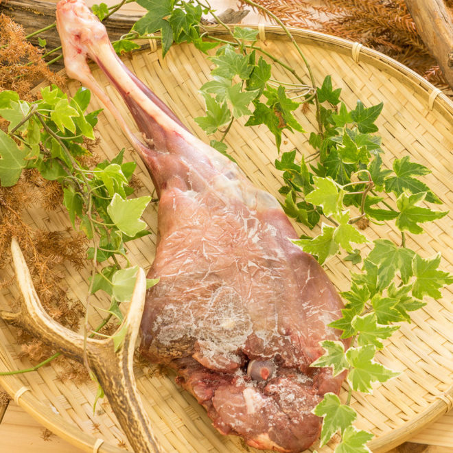 鹿の骨つきモモ肉