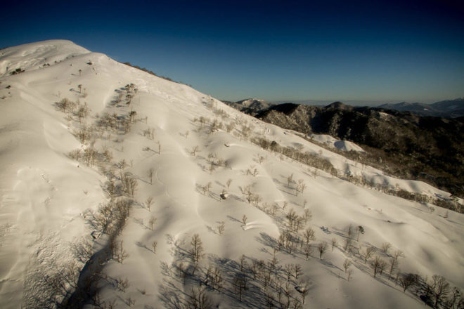 深入山