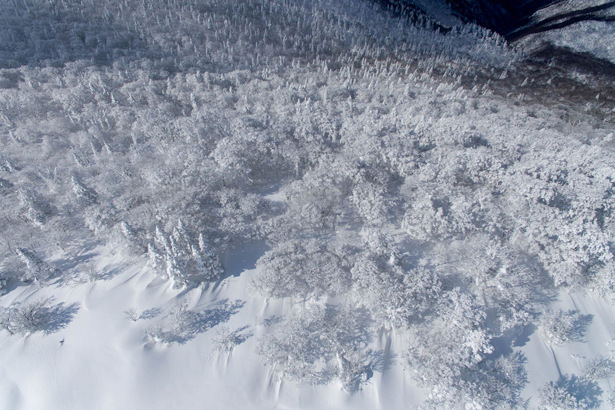 恐羅漢山頂の樹氷を空撮