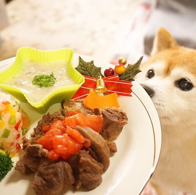 鹿肉のクリスマスディナー 犬の手作りご飯レシピ