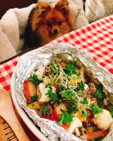 鹿肉と林檎のホイル焼き 犬の手作りご飯レシピ