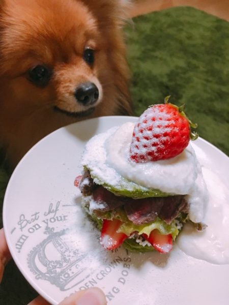 野菜とお肉のパンケーキ 犬の手作りご飯レシピ