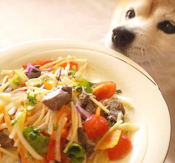 鹿肉と彩り野菜の冷製パスタ 犬の手作りご飯レシピ