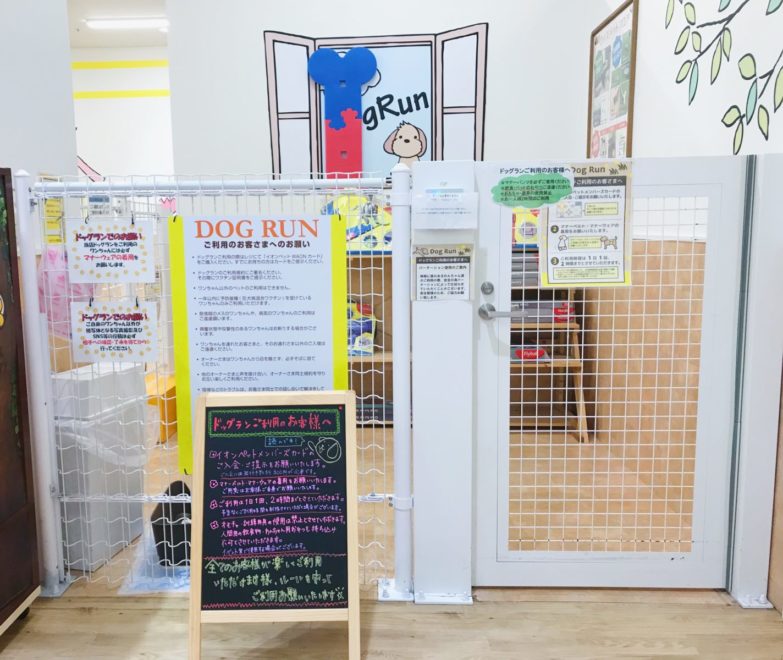 Dog Run 室内ドッグラン イオンペット 千葉ニュータウン店 へ行ってきました Forema フォレマ