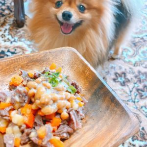 免疫力を上げる食材レシピ 犬の手作りご飯レシピ