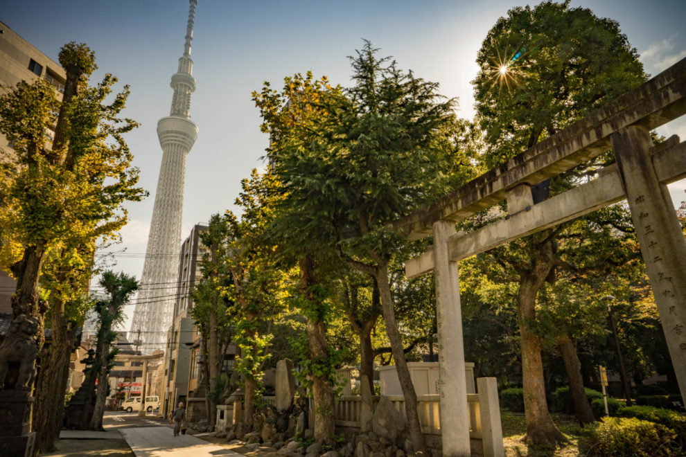 東京スカイツリーと牛島神社 墨田区