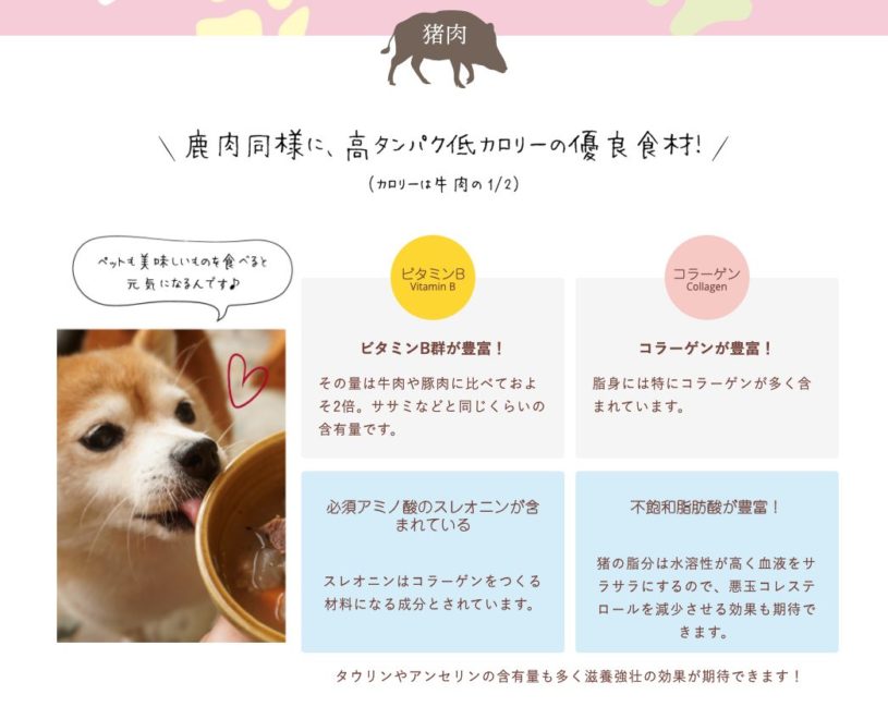 猪の成分について