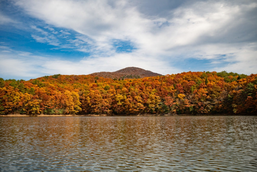 落葉した臥龍山と麓の紅葉