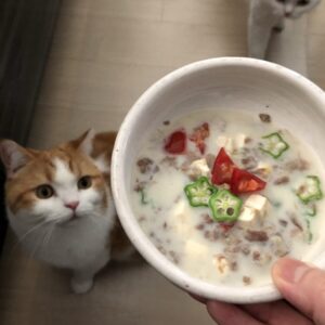 スープ 猫の手作りご飯